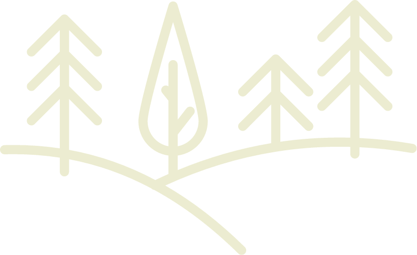 background section image